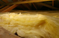 Sanachan pitch roof insulation
